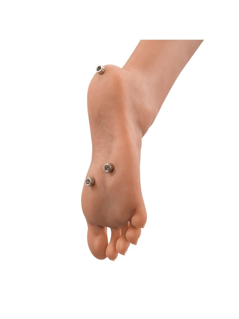 11310-106382-thickbox.jpg?quality=80&fit=bounds&height=&width=